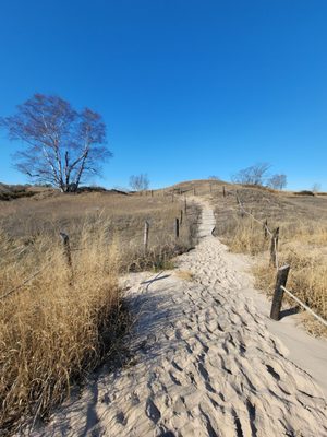Kohler-Andrae State Park by null
