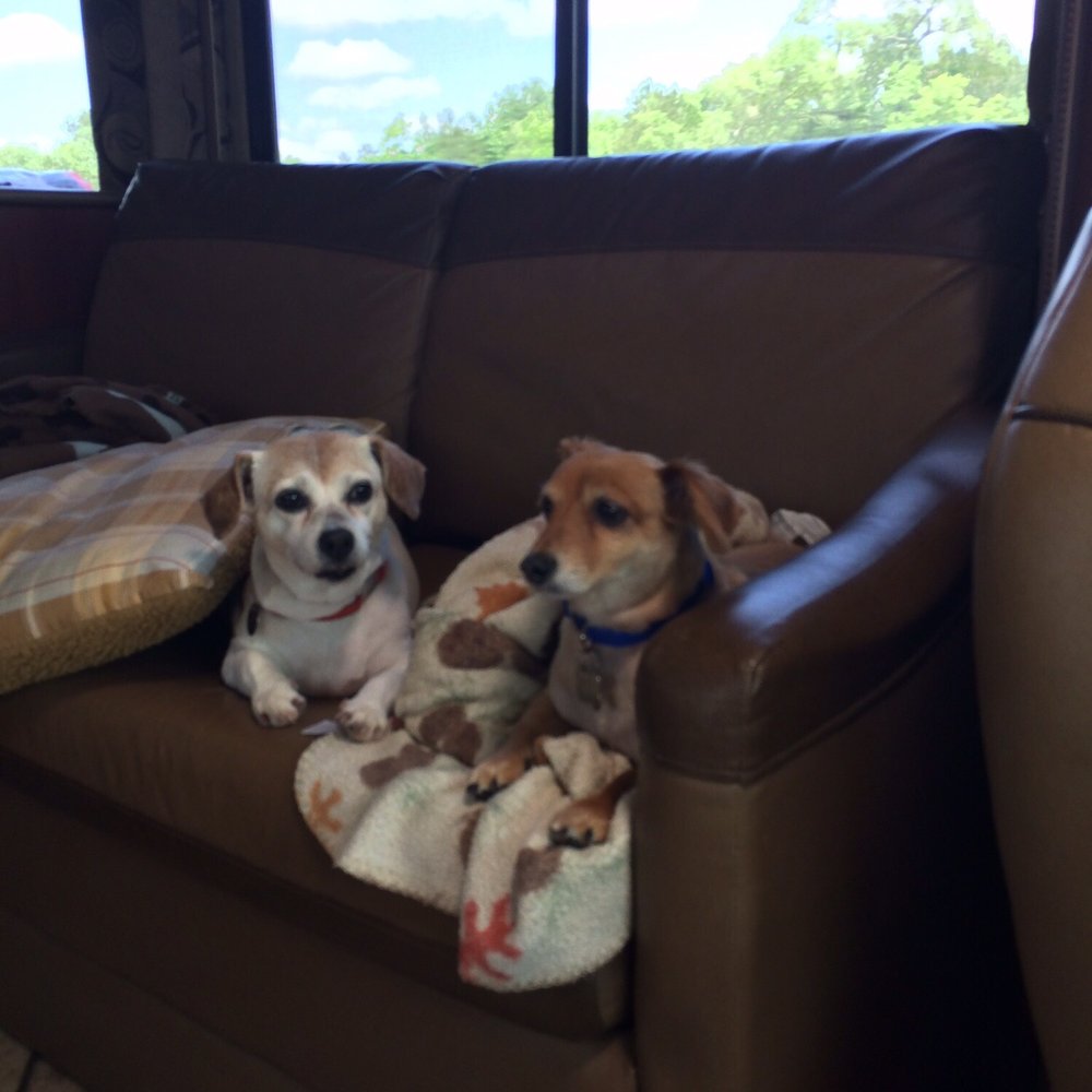 Cypress RV Rental - They were very comfortable! - RV Rental Near Me - Cypress, Texas Cypress RV Rental - They were very comfortable! - RV Rental Near Me - Cypress, Texas