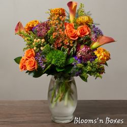 Blooms 'n Boxes