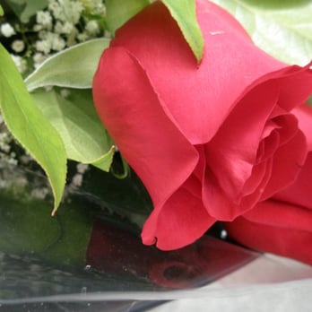 Albany Florist - the beautiful flowers await their presentation - Floral Designers Near Me - Albany, California Albany Florist - the beautiful flowers await their presentation - Floral Designers Near Me - Albany, California