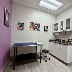 Animal General Hospital - Exam room
