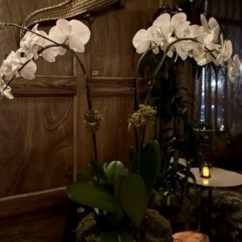 Harlow Grove - Breakfast & Brunch Near Me - Winter Garden, Florida