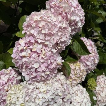 Lombard Street - Landmarks & Historical Buildings Near Me - San Francisco, California