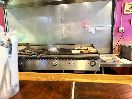 Neon Pig Tupelo by null