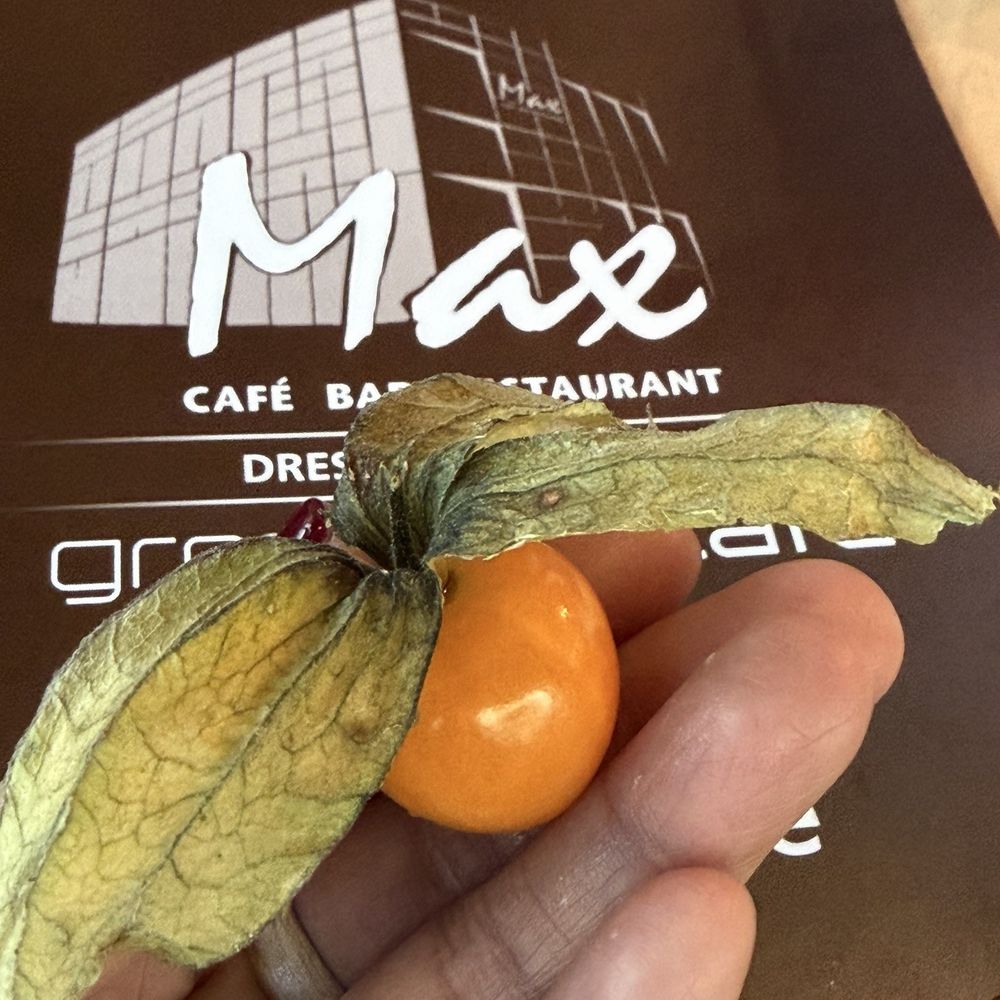 Max Altstadt - Cafes Near Me - Dresden, SN Max Altstadt - Cafes Near Me - Dresden, SN