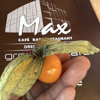 Max Altstadt - Cafes Near Me - Dresden, SN