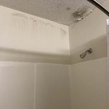 Norland Inn & Suites - Hotels Near Me - Roseau, Minnesota