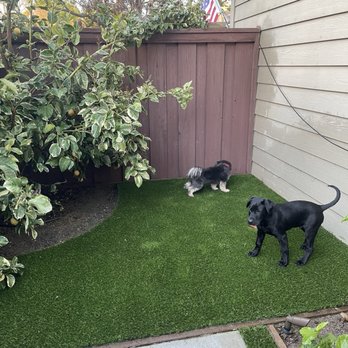 Cal Pro Artificial Turf - Artificial Turf Near Me - San Jose, California Cal Pro Artificial Turf - Artificial Turf Near Me - San Jose, California