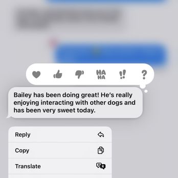 City Dogz Atl - The message I received from the manager, Kevin. - Dog Walkers Near Me - Atlanta, Georgia City Dogz Atl - The message I received from the manager, Kevin. - Dog Walkers Near Me - Atlanta, Georgia