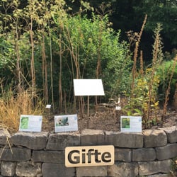 Botanischer Garten