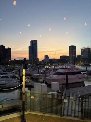 Rusty Scupper Restaurant & Bar by null