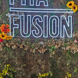 Pita Fusion