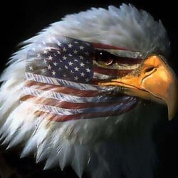 Falcon Security Services