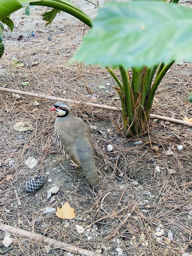 HOUSTON INTERACTIVE AQUARIUM AND ANIMAL ADVENTURE 139 Photos & 63