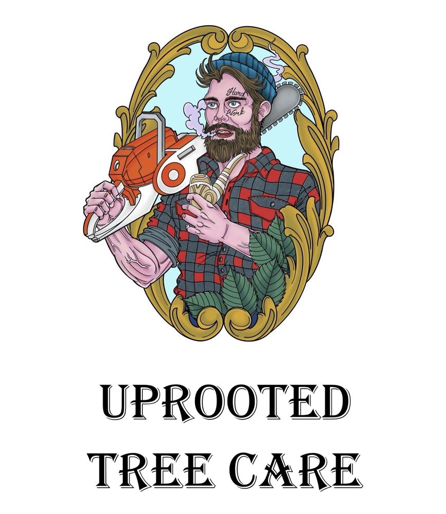 Uprooted Tree Care - tree service in Augusta, GA