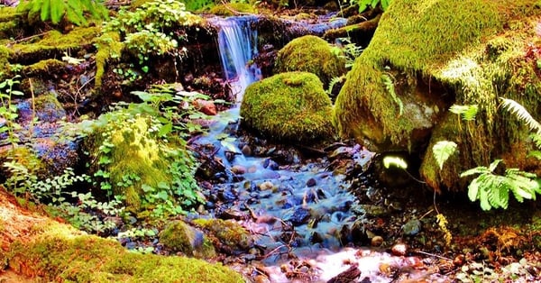 Twin Falls Trailhead by null