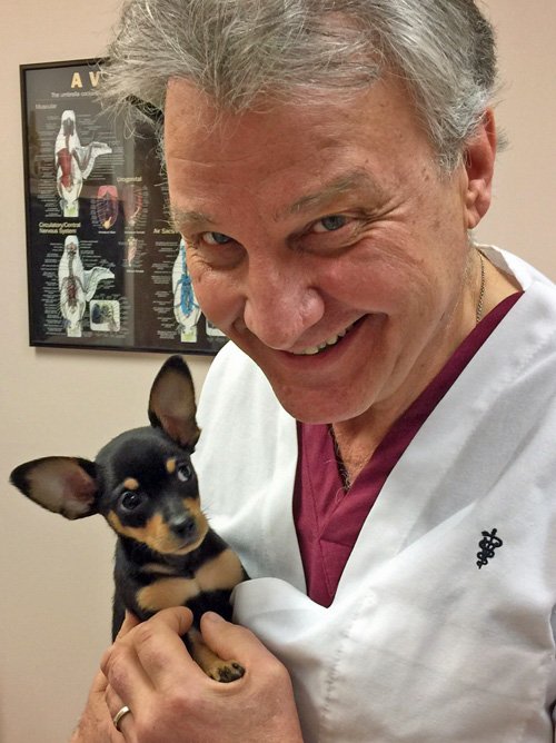 SUNBURY VETERINARY CLINIC Updated July 2024 491 W Cherry St