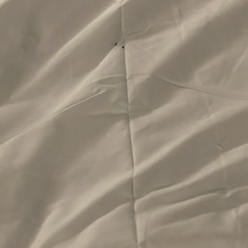 Arcadian Hotel - What it look like why I pulled the covers back for inspection - Venues & Event Spaces Near Me - Brookline, Massachusetts