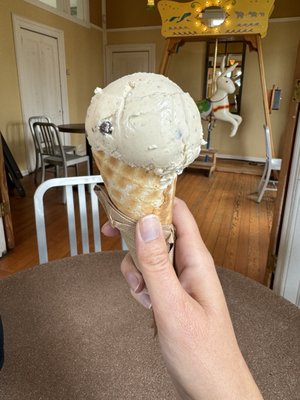 Arcata Scoop by null