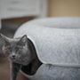 Photo of Pure Joy Cat Cafe