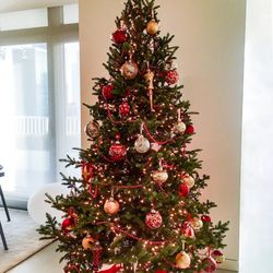 City Tree Delivery - Decorated Fraser Fir tree delivered to the Gold Coast