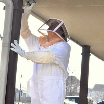 Black Hawk Pest Control - Pest Control Near Me - Indianapolis, Indiana Black Hawk Pest Control - Pest Control Near Me - Indianapolis, Indiana