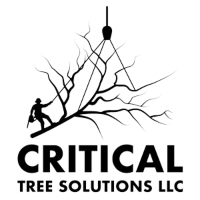 CRITICAL TREE SOLUTIONS Request a Quote Chester, Connecticut Yelp