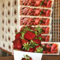 Johns Strawberry Patch