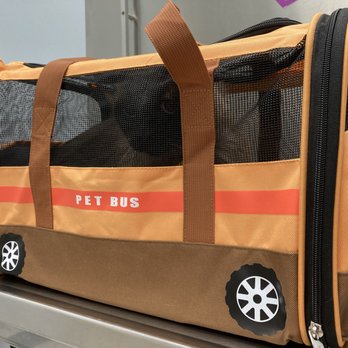 Beechcrest Animal Clinic - Maybe I need to change the name from Pet Bus to Cat Bus. - Veterinarians Near Me - Houston, Texas Beechcrest Animal Clinic - Maybe I need to change the name from Pet Bus to Cat Bus. - Veterinarians Near Me - Houston, Texas
