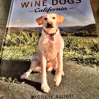 Vinoce - Their dog Daisy - Wine Bars Near Me - Napa, California Vinoce - Their dog Daisy - Wine Bars Near Me - Napa, California