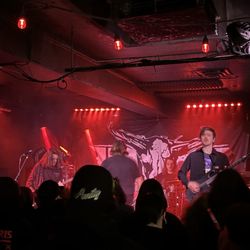 Neck of the Woods - Hollow front!