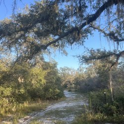 Lake Wales Ridge State Forest