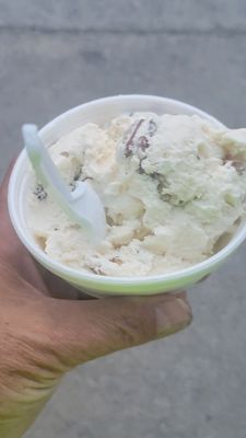 Sunni Sky's Homemade Ice Cream by null