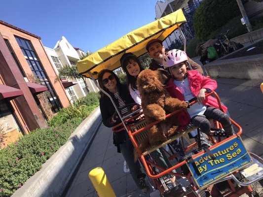 Alta Vista Pet Salon