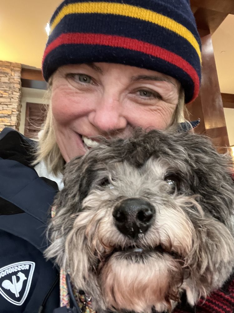 PARK CITY ANIMAL CLINIC Updated August 2024 11 Photos & 41 Reviews