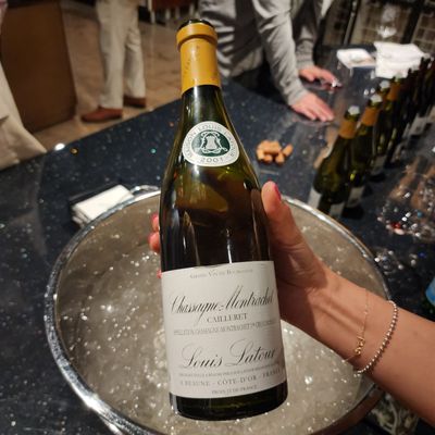 The Cellar Beverly Hills by null