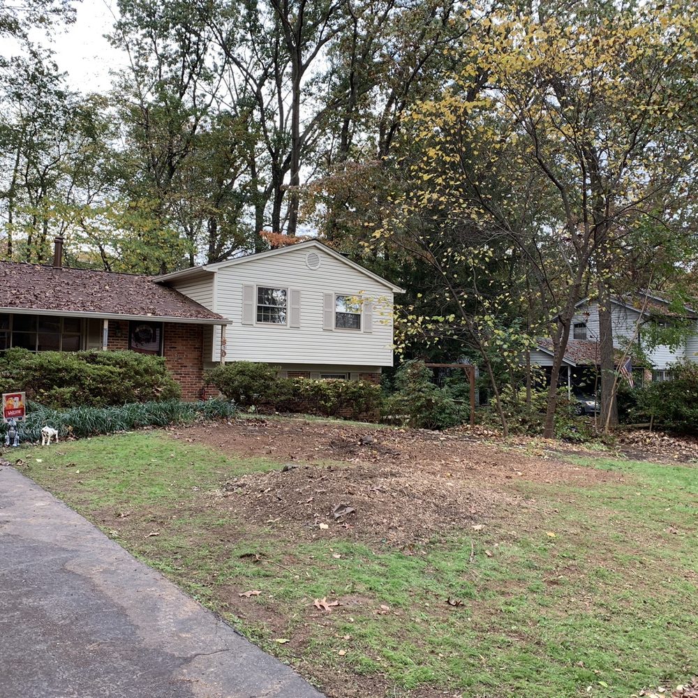 Trees, brush and stumps removed.