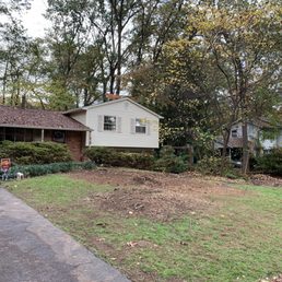 Trees, brush and stumps removed.