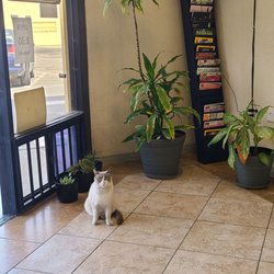Performance Auto Repair & Smog - The shop's mascot.