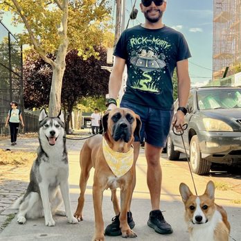 Canino - Henry with the big kids - Pet Boarding Near Me - Astoria, New York