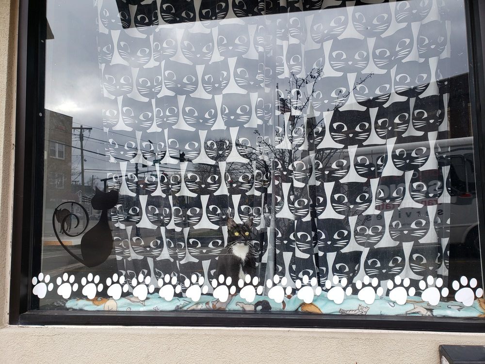Rahway Kitty Hall Image