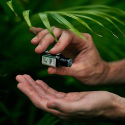 Manifest Massage Hawaii - Essential Oils