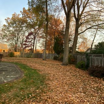 MR Cortez Landscaping - Landscaping Near Me
