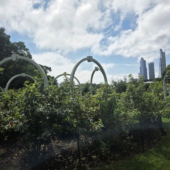 Buckingham Fountain - Landmarks & Historical Buildings Near Me - Chicago, Illinois