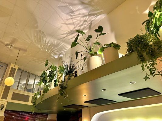 Gold Palm by null