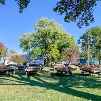 Howell's Greenhouse and Pumpkin Patch - Farmers Market Near Me - Cumming, Iowa