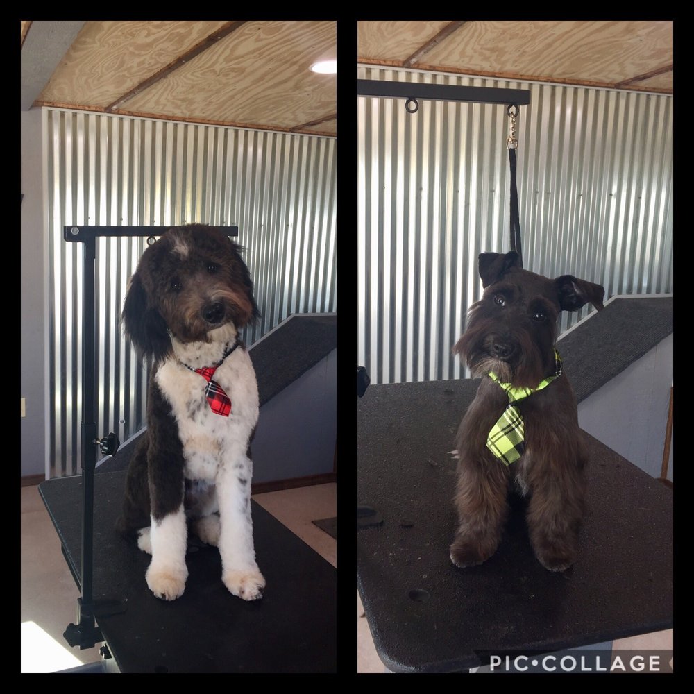 THE DOG HOUSE Abilene, Texas Pet Groomers Phone Number Yelp