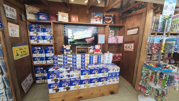 MoonPie General Store and the Original Book Warehouse by null