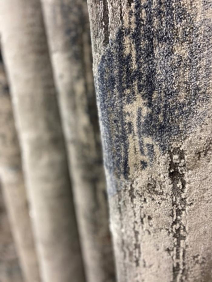 NASIYE Updated October 2024 25 Photos 1119 Cobden Road, Ottawa