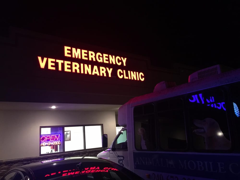 HARRISONBURG VETERINARY EMERGENCY CLINIC Updated August 2024 16